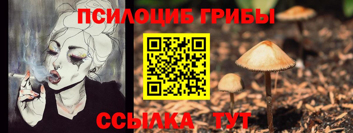 Псилоцибиновые грибы ЛСД Острогожск