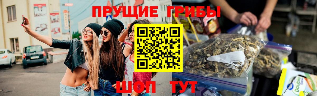 Острогожск  Галлюциногенные грибы ЛСД  Вход с VPN 